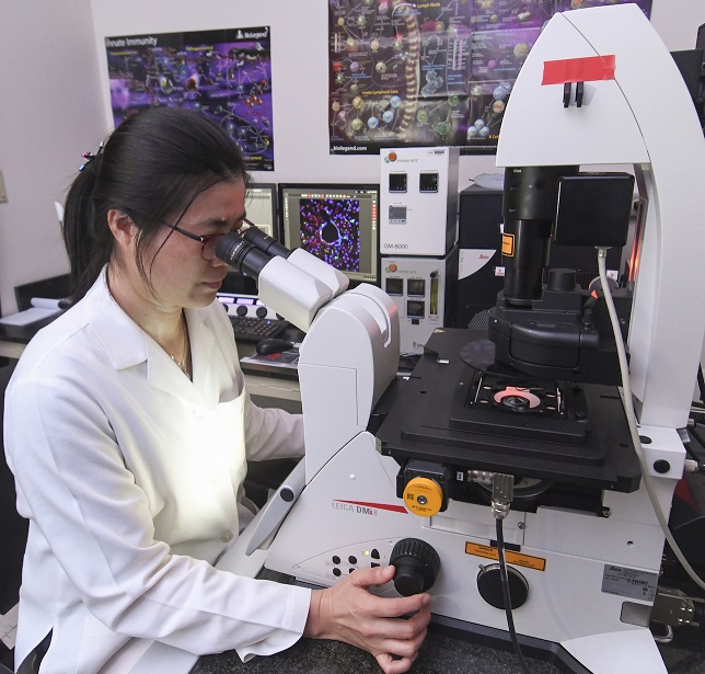 Researcher with microscope