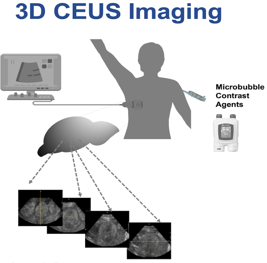 Fig3